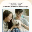 어바웃댕댕 이미지