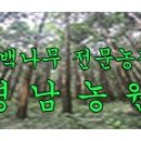 영남농원 이미지