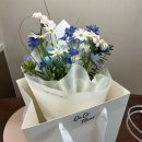 30일 아기 신생아 셀프촬영 꽃다발 컨셉촬영 후기