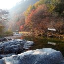 도연인테리어 - 용인시 기흥구 원고매로 125 | 도연인테리어
