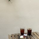 오아스로스터스
