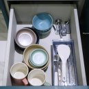 나무와 해(海) 이미지