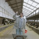 혜인농장 이미지