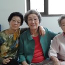 푸르지오아파트경로당 Daum카페
