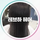 🎨 레브하 헤어 마포점 블랙 뿌리컬러 &amp; 단백질 케어 초밀착 후기: 모발 회복의 기적을 경험하다 🌸