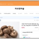 머쉬앤 이미지