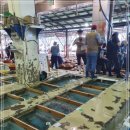 8월 31일(월) 목포는항구다 생선카페 판매생선[ 횟감용 민어 2kg / (건조생선) 짼갈치, 민어(통치) ] 이미지