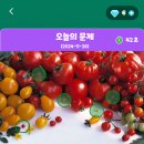 정답은꽃 이미지