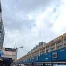 대인홍어 이미지