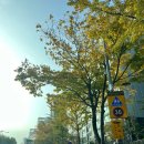 미원초등학교 위곡분교 | 강원도인듯 강원도아닌 양잔디골프장 샤인데일cc + 가평유명숯불닭갈비