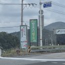 알프스염소