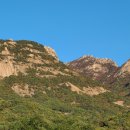 영봉농장 이미지