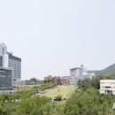 학교법인일청학원 이미지