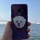 제이영플러스 이미지