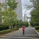 레스포자전거 | [초등학생 자전거 추천] 삼천리자전거 LESPO 레스포 TYPHOON 태풍 실제 사용 후기 🚴‍♂️