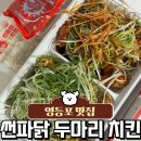 조치원 파닭 두마리치킨 | 영등포 맛집 | 썬파닭두마리치킨 영등포점 | 레드 세트 후기, 영등포 치킨 맛집
