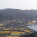 비홍산 티스토리