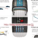 금호카포스 이미지