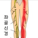 아테나스킨