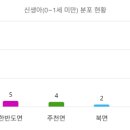 김삿갓면-44 이미지