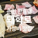 돼학로