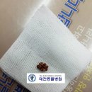 태전동물병원 이미지