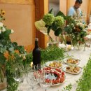 케이팜스타 이미지