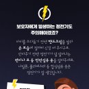양곡동물병원 네이버블로그