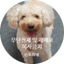 구슬자판기