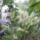 여송농장 이미지