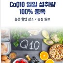 800 | 본투식스 – 남자 다이어트 하루 800원 후기,효능,성능 효과 공유