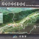 12.1(목) 충남서천 희리산휴양림~해변스카이워크~신성리갈대밭 이미지