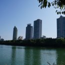 석촌호 Daum카페
