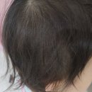이글루아이스 | 쿨패치 추천 이글루데이 아이스 쿨링패치 여름 육아템 캠핑준비물 후기