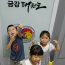 금강태권도장 네이버블로그