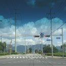 비야비야 이미지