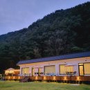 스테이 소유 이미지