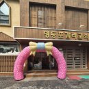 아이네오 Daum카페