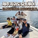 제주 돌고래 | 제주 차귀도 요트투어 후기｜가격·코스·돌고래 가족여행 정리