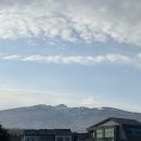 하프타임해안시장점 | 1/29-2/2 제주도 2탄-절물자연휴양림/ 동백수목원/ 우동카덴/ 용머리해안/ 대한목장/ 우도여행