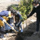 국립신시도자연휴양림 이미지