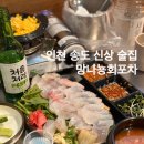 인천 송도 신상술집 가성비좋은 망나뇽회포차 모듬회 후기 내돈내산