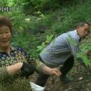 해산민박 이미지