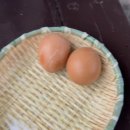 멍멍잇 | 후쿠오카 근교 유후인 버스투어 당일치기 내돈내산 여행 후기