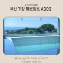 메르벨르A 네이버블로그