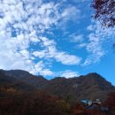 시티원부동산중개 이미지