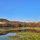 문화산책코스 네이버블로그