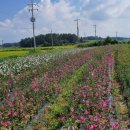 월산목장 이미지