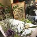 카페 클로버 이미지