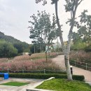 베툴라 자작나무숲 펜션 이미지